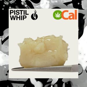 pistil whip concentrate live rosin badder donny father 1g